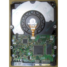 HDD Sun 500G 500Gb в Подольске, FRU 540-7889-01 в Подольске, BASE 390-0383-04 в Подольске, AssyID 0069FMT-1010 в Подольске, HUA7250SBSUN500G (Подольск)