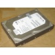 HP 250G 7.2k 432337-001/ 399699-001 / 397377-004 SATA HDD (Подольск)