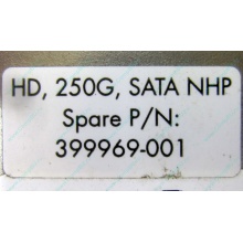 HP 250G 7.2k 432337-001/ 399699-001 / 397377-004 SATA HDD (Подольск)