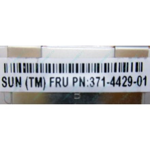 Серверная память SUN (FRU PN 371-4429-01) 4096Mb (4Gb) DDR3 ECC в Подольске, память для сервера SUN FRU P/N 371-4429-01 (Подольск)