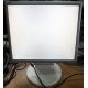 Монитор 17" TFT Nec MultiSync LCD175VXM+ бело-серебристый (Подольск)