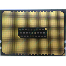 AMD Opteron 6128 OS6128WKT8EGO (Подольск)