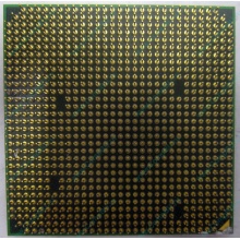 Процессор AMD Athlon 64300+ (1.8GHz) ADA3000IAA4CN s.AM2 (Подольск)